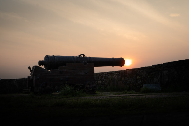Cannon