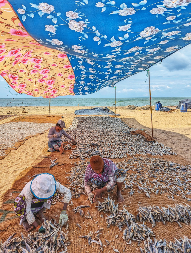 Beneath the Sun, Beside the Sea.