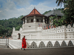 Nirwana