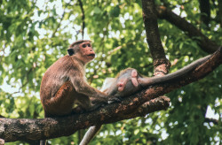 Nature's Bond