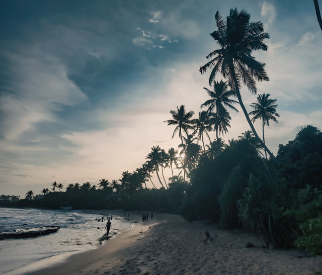 Tranquil Shores