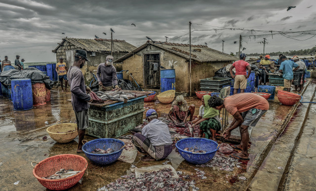 Fisherfolk