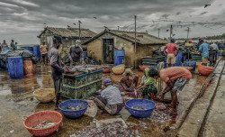 Fisherfolk