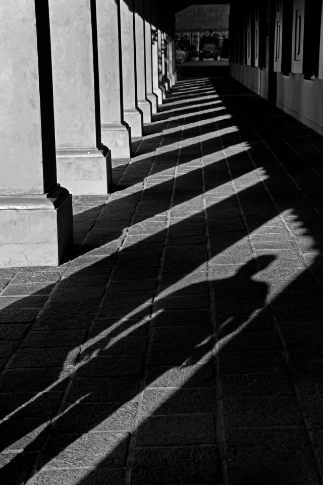 The man in the shadow