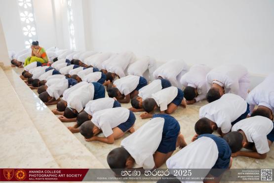 නැණ හරසර 2025 — photo 9