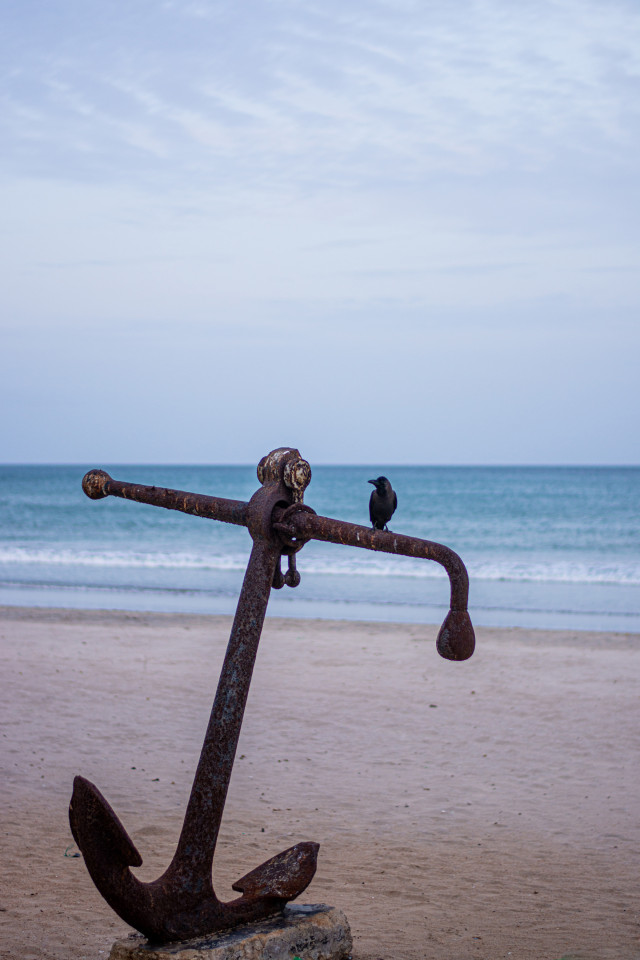 Captian Crow