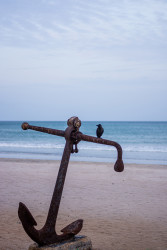 Captian Crow