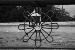 The Frame