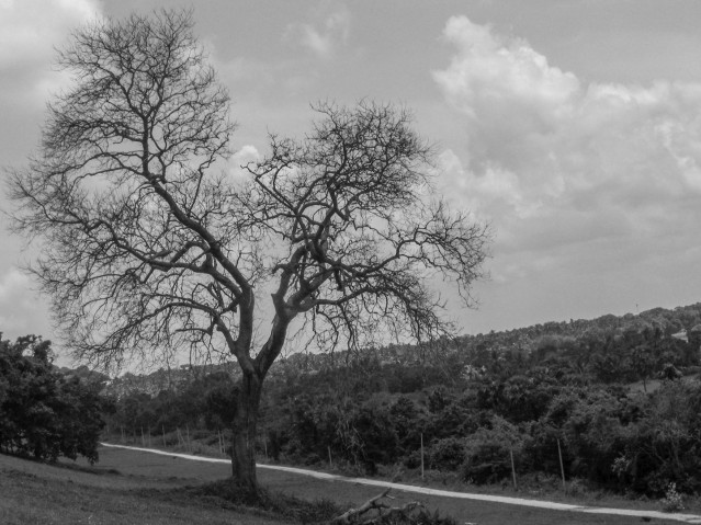 Standing Alone
