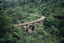 Nine Arch Surround