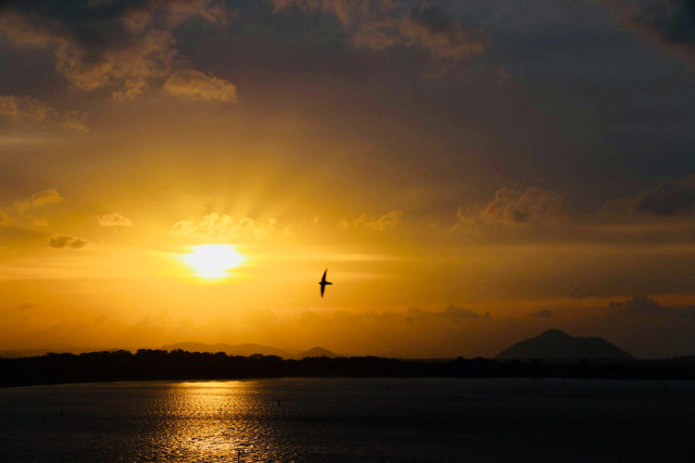 Sun set and a bird