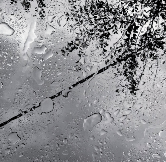 Droplets of life