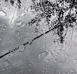 Droplets of life
