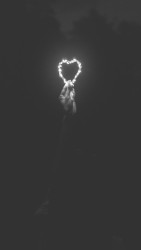 The Symbol Of Love