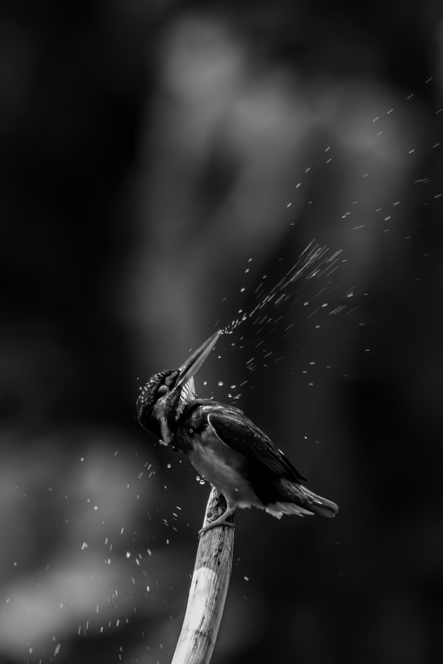 Motion
