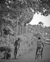 Rural life