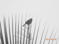 waiting alone