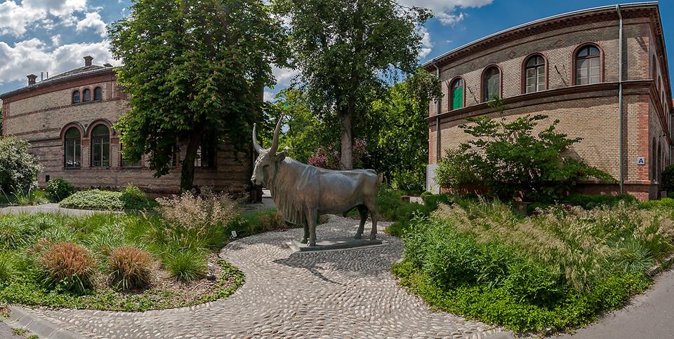 University Of Veterinary Medicine Budapest banner