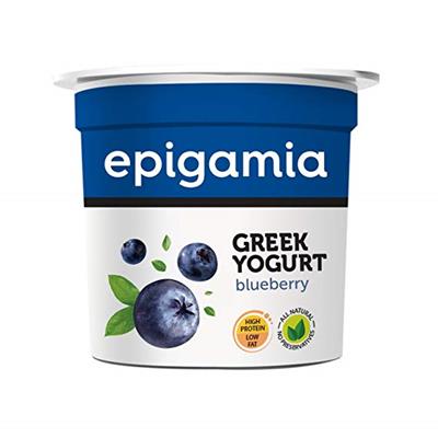 Epigamia Greek Yogurt, Blueberry, 200ml