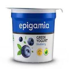 Epigamia Blueberry Greek Yogurt, 85gm (Pack of 48)