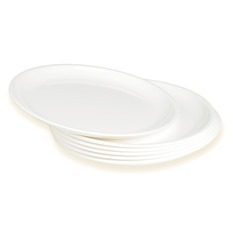 Generic Fibre Plate Standard Size - Pack of 6