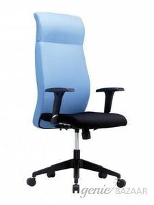 Bluebell Ergonomics Chairs BB-EZ-01-B Eleganz High Back Excutive Office Chairs