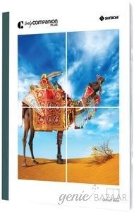 My Companion SLHC 172P Soft Cover Note Book 12 pcs in Inner (Shrink)