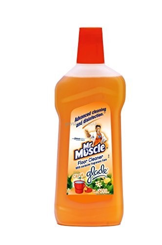 Mr. Muscle Floor Cleaner with Glade Citrus - 500 ml