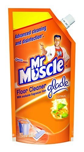 Mr. Muscle Floor Cleaner with Glade - 500 ml (Doy - Citrus)