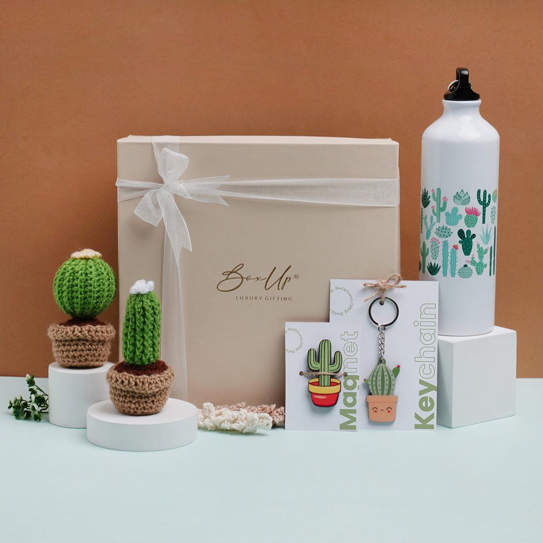 Cacto Craze Gift Hamper