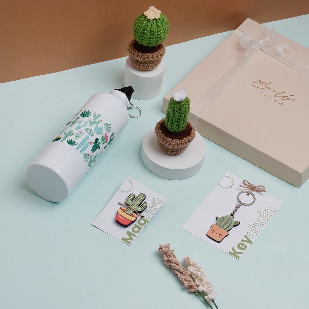 Cacto Craze Gift Hamper