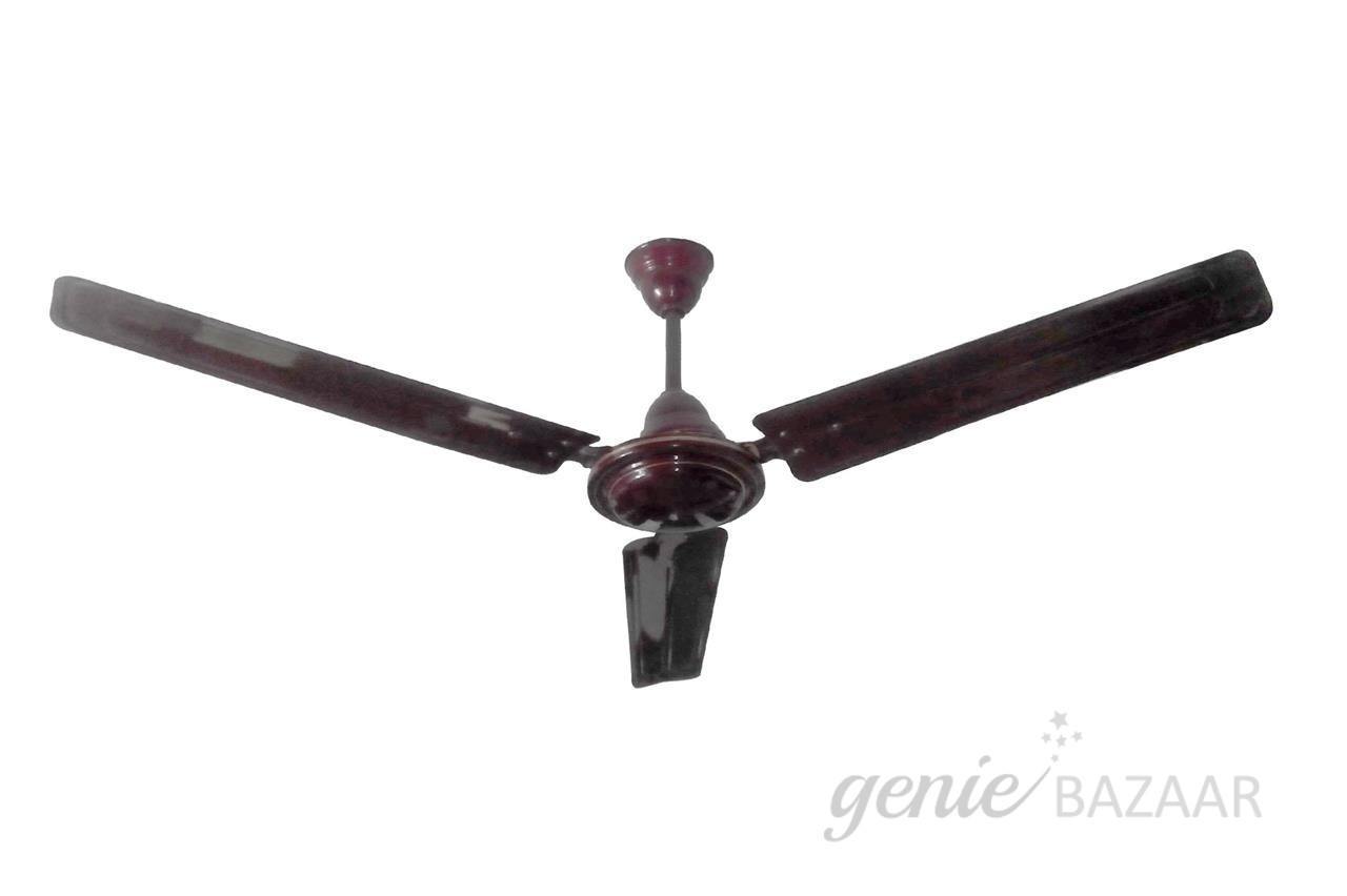 Other fan service