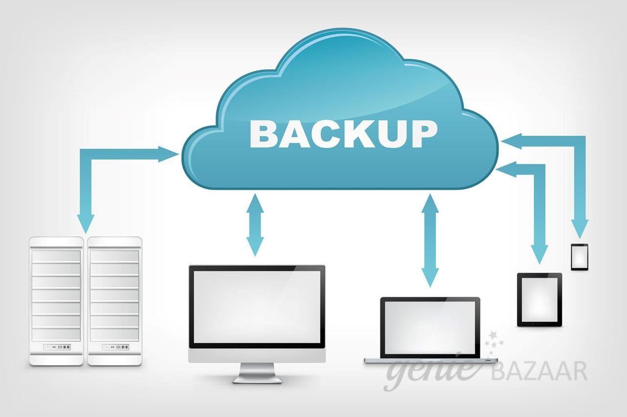 Data backup and restore