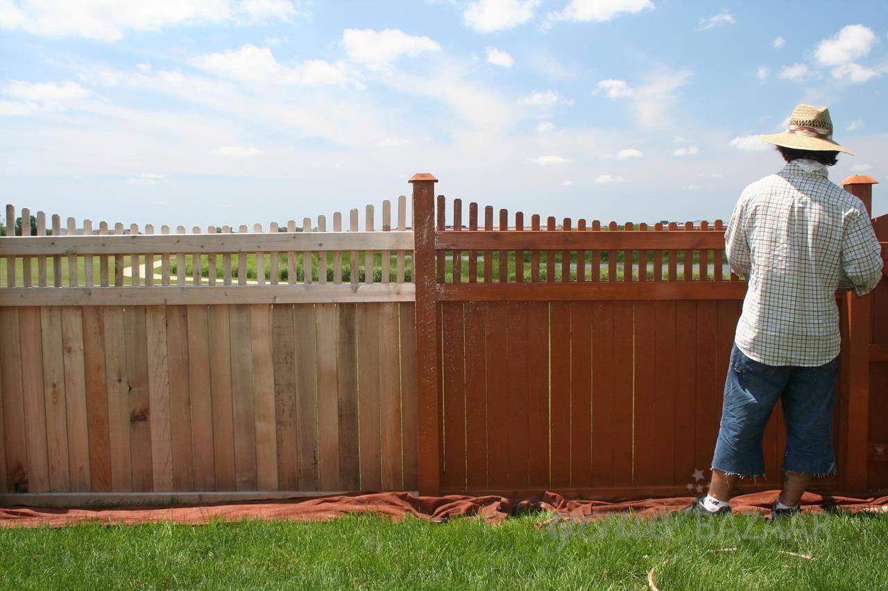 Fence painting project