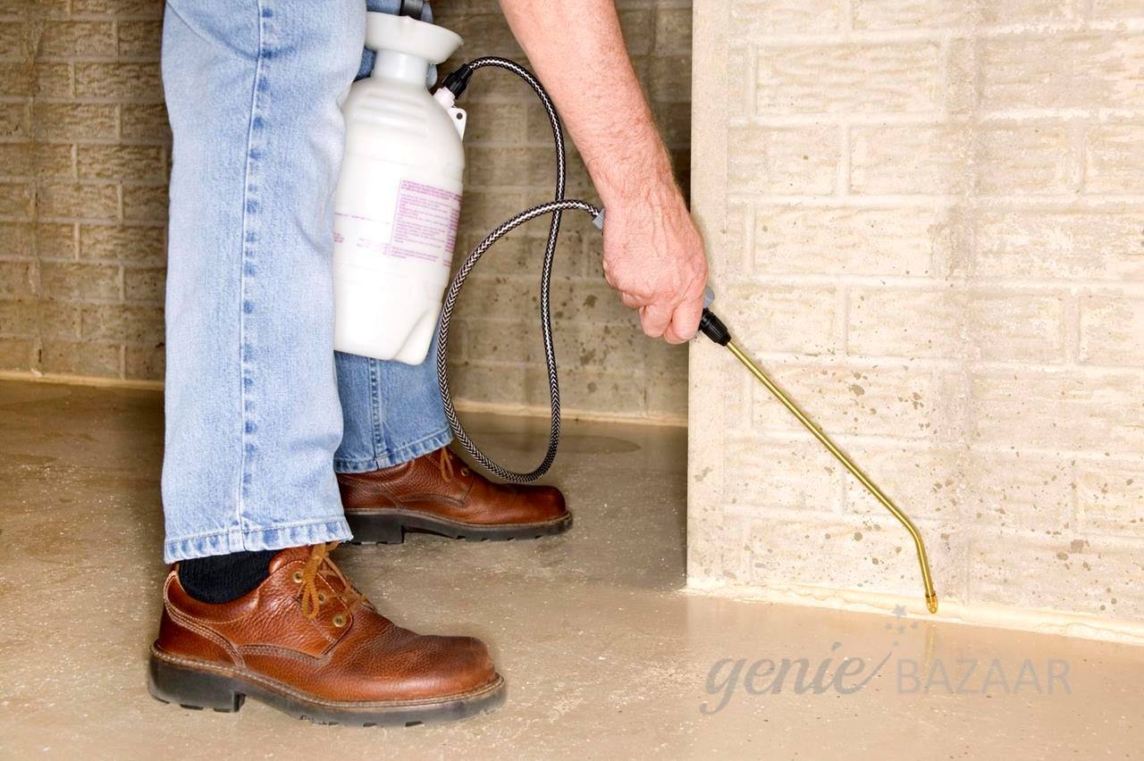 Ant control annual maintenance contract