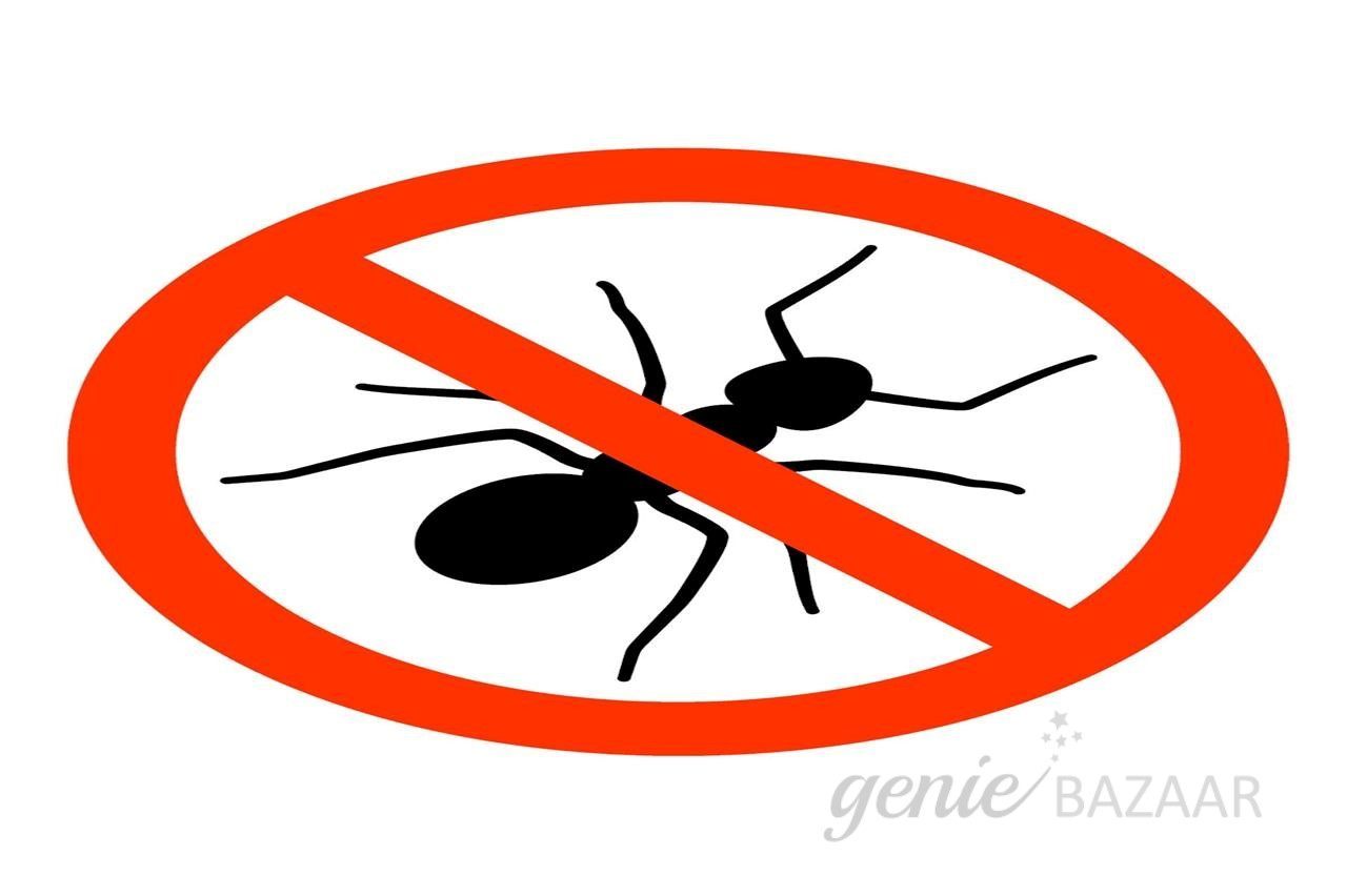 Ant Control for Apartment