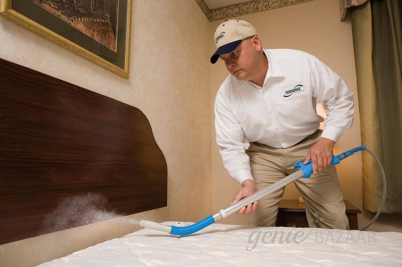 Bed Bug Control for Apartment