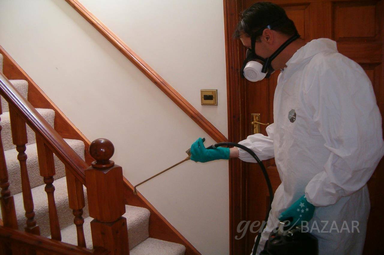 Cockroach control annual maintenance contract