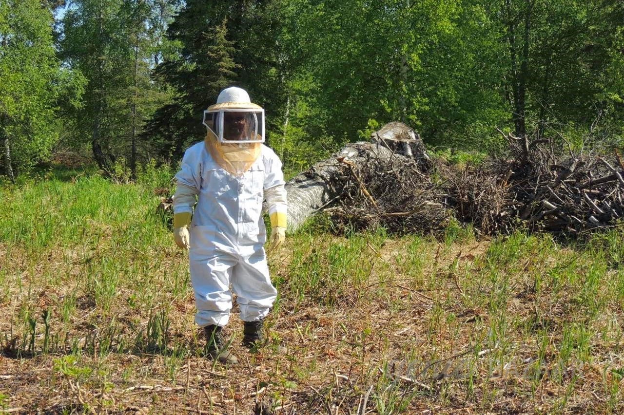 Honey Bee Control
