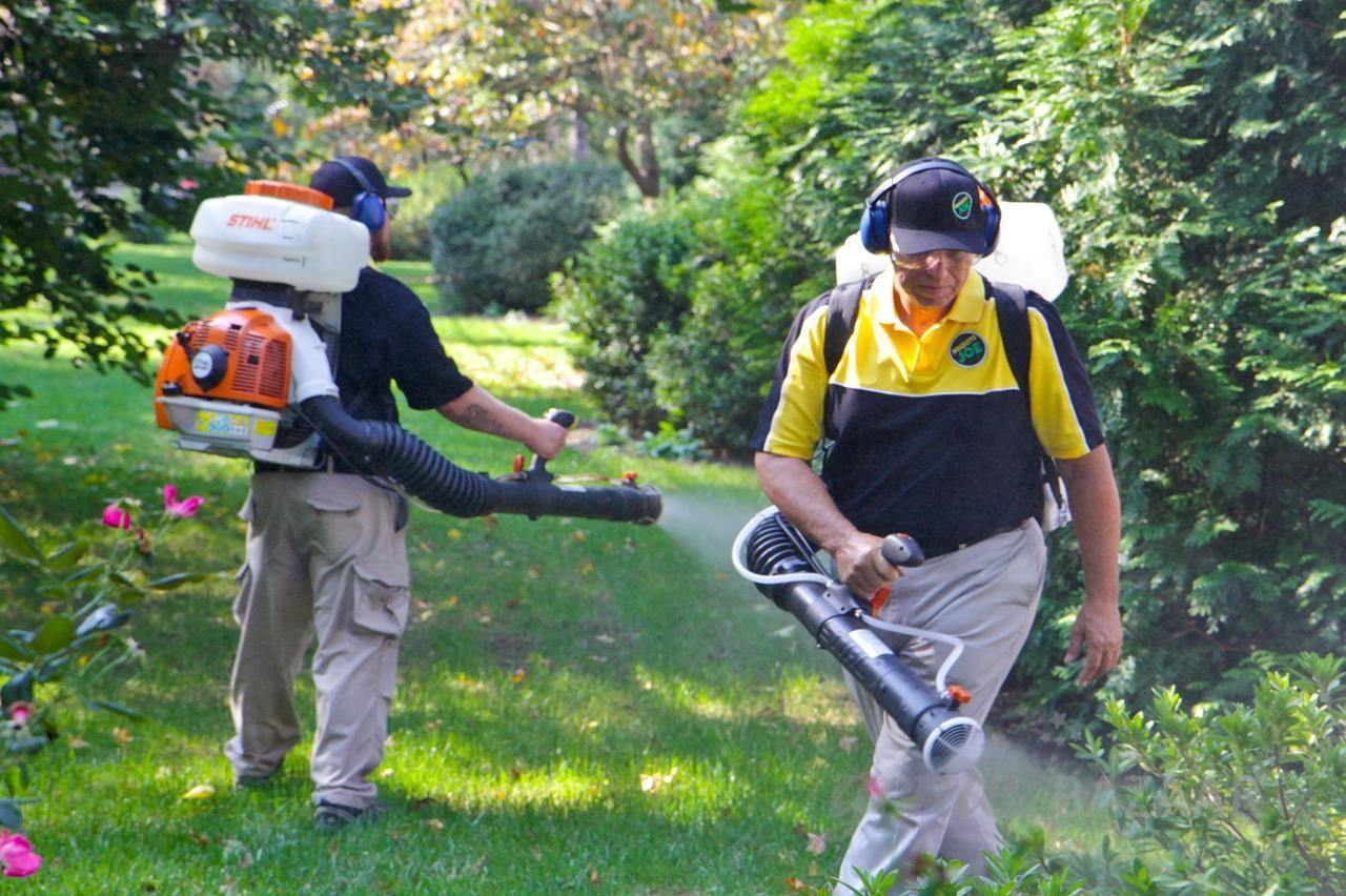 Mosquito Control for Apartment