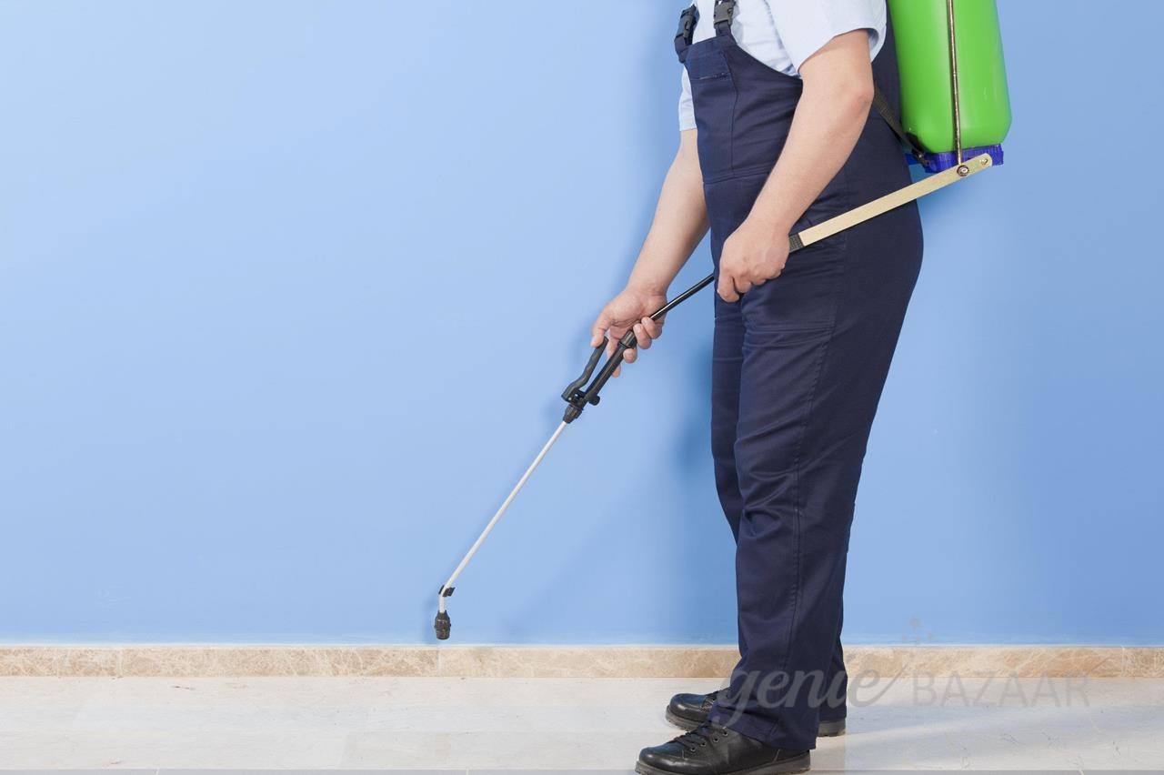 Rat Control for Office