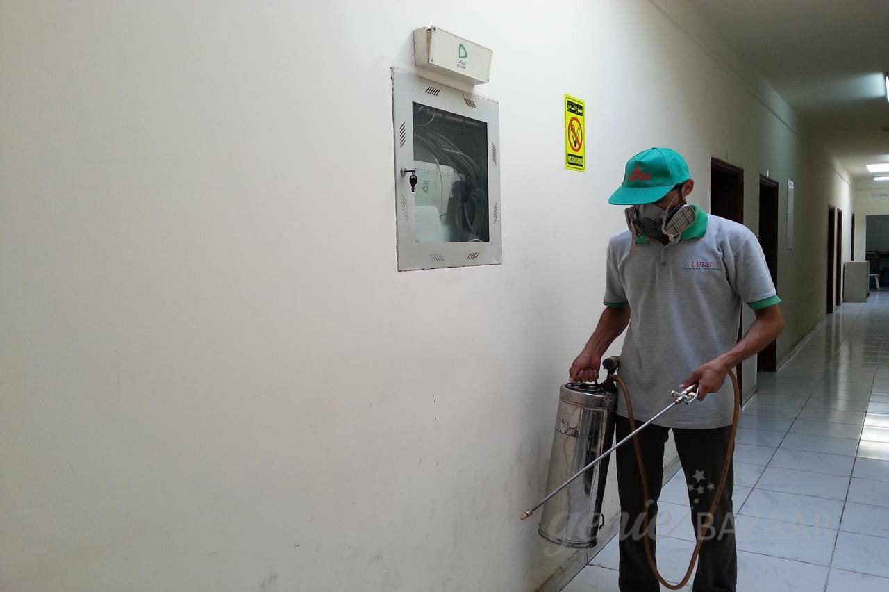 Rat control for Villa/Individual house