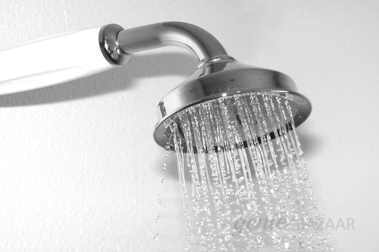 Shower head filter