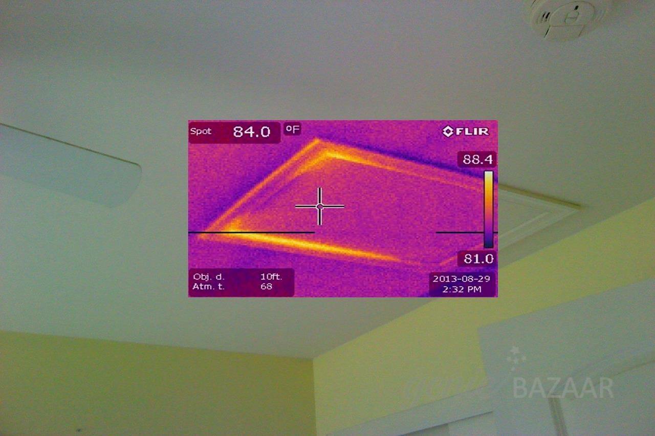 Thermography test