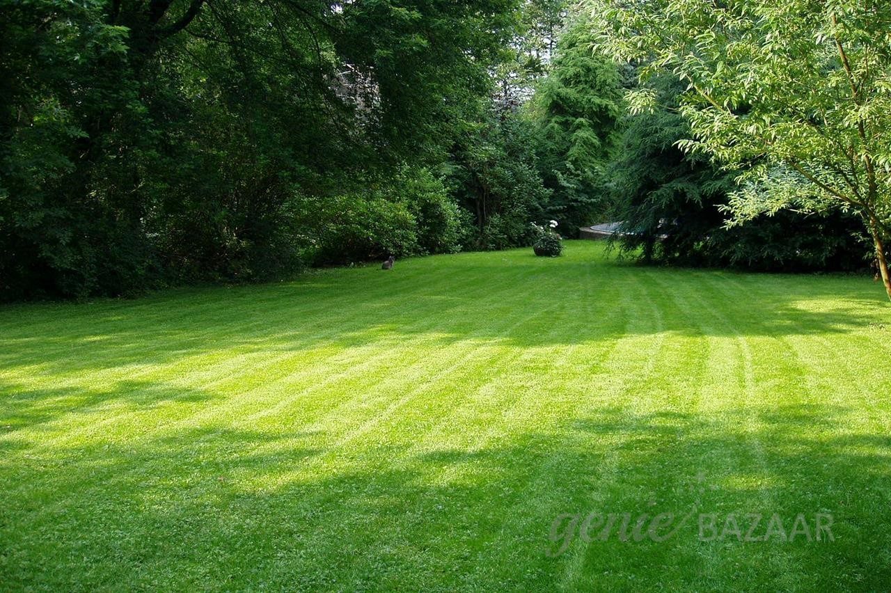 Landscaping maintenance contract