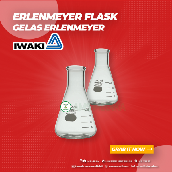 Erlenmeyer Flask Iwaki