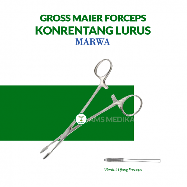 Gross Maier Forceps / Korentang Lurus Marwa