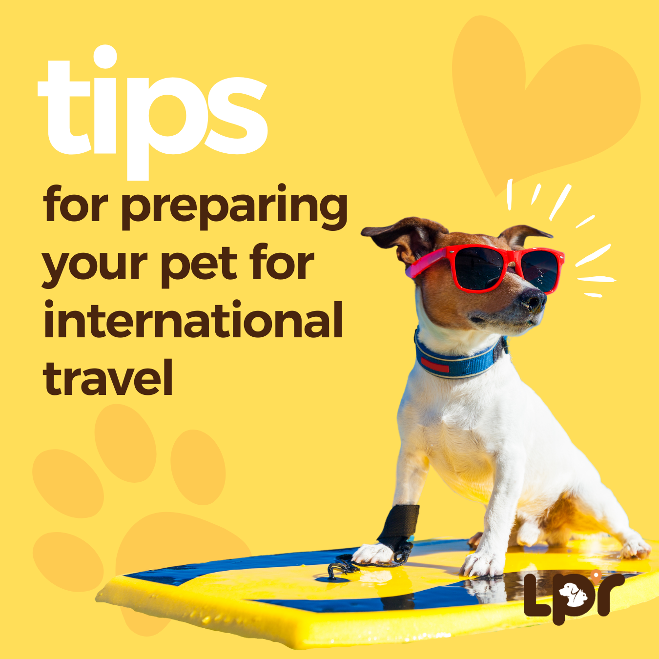 Essential Tips for a Smooth Journey