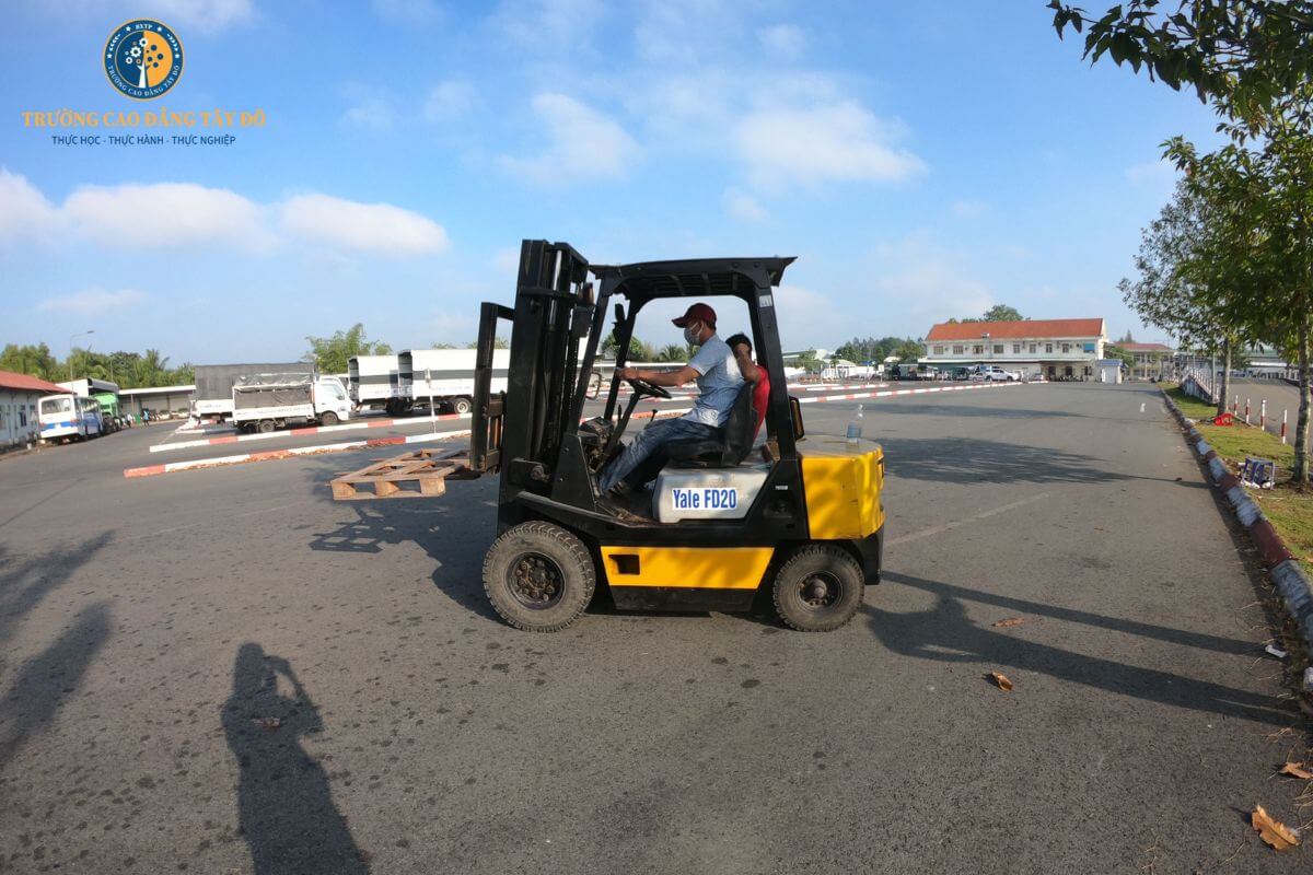 Bằng lái xe nâng