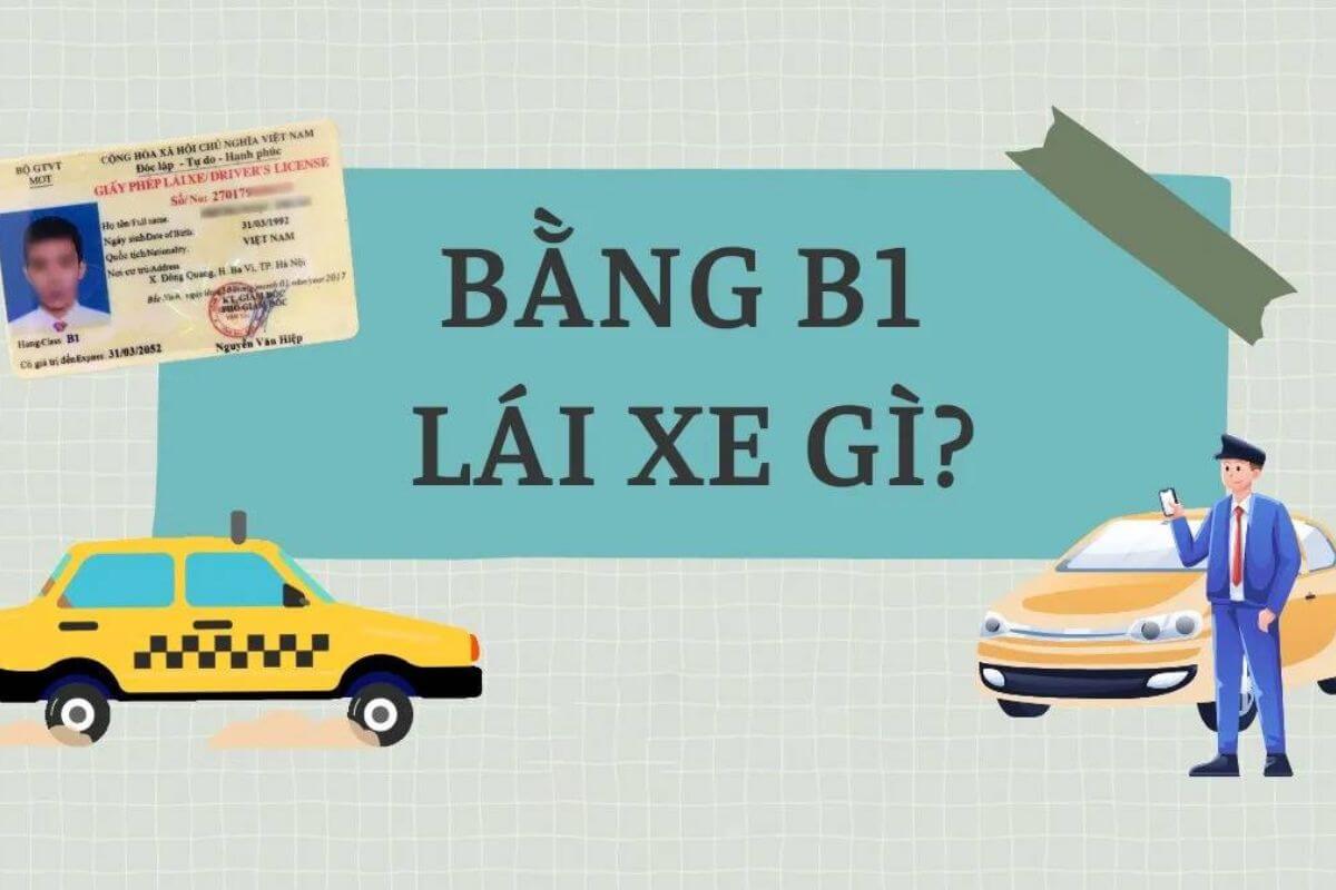 Trường dạy lái xe B1